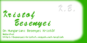 kristof besenyei business card